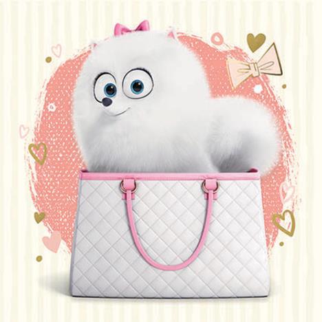 The Secret Life of Pets Gidget Card £0.99